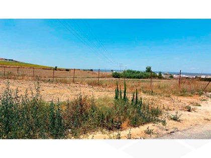 Lote nº 2 formado por: 1 parcela de terreno y 1 solar en La Palma del Condado, (Huelva). FR 9910 y 11113, RP La Palma del Condado